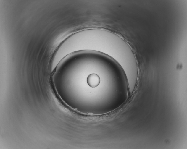 X0000113610005200910021815