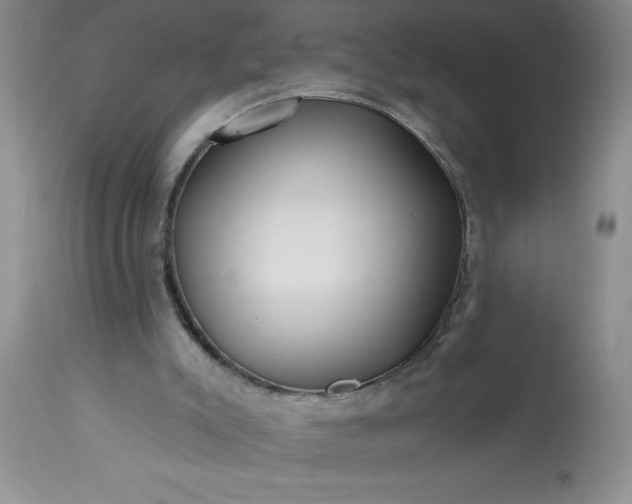 X0000113610007200910021814