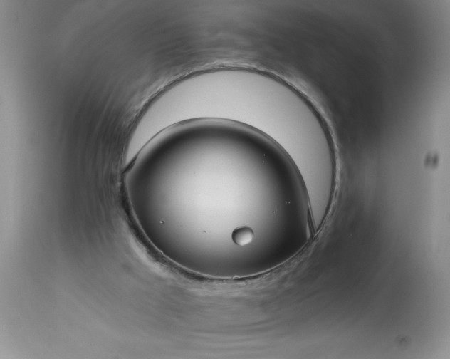 X0000113610009200910021814