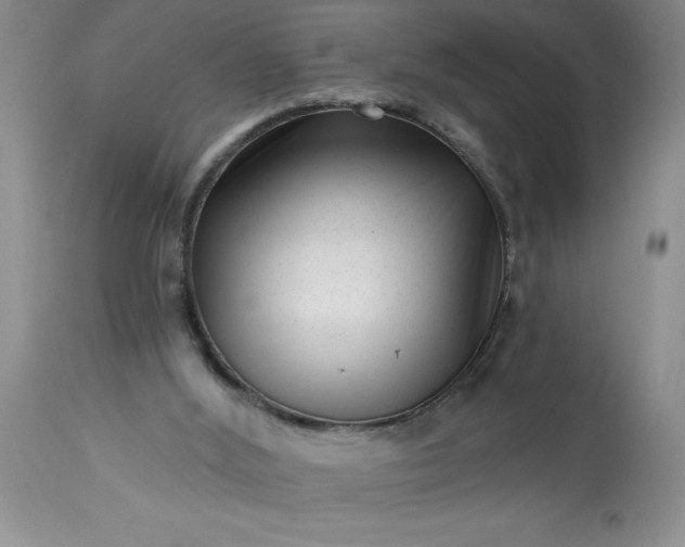 X0000113610012200910021814