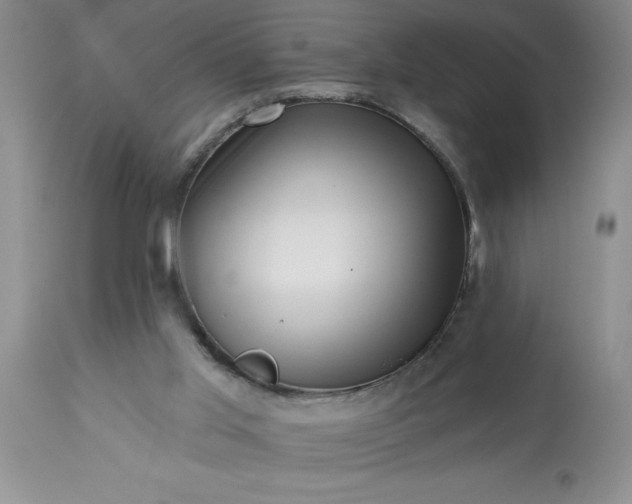 X0000113610013200910021814