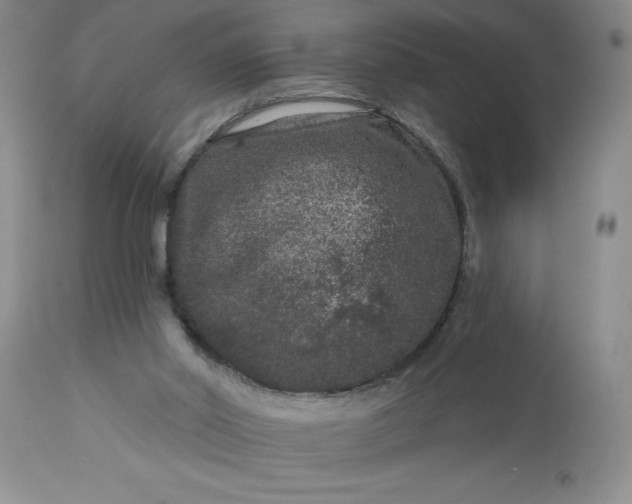 X0000113610014200910021814