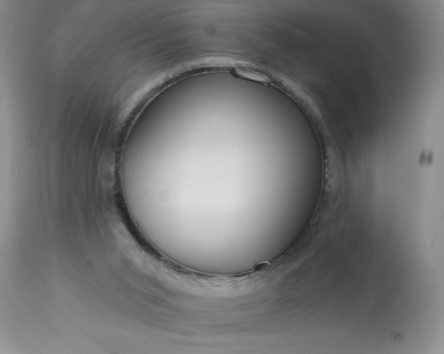 X0000113610015200910021814