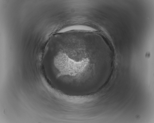 X0000113610018200910021814