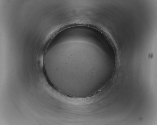 X0000113610019200910021814