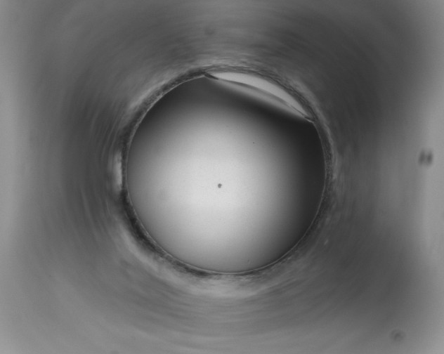 X0000113610020200910021814