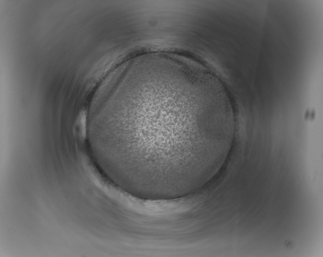 X0000113610022200910021814