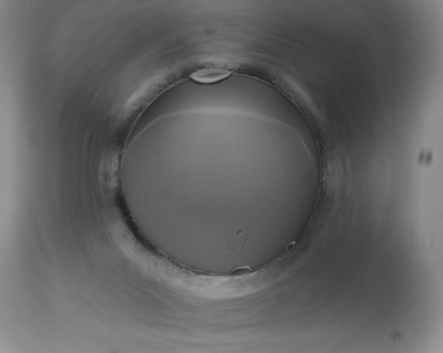 X0000113610023200910021814