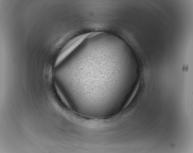 X0000113610024200910021814