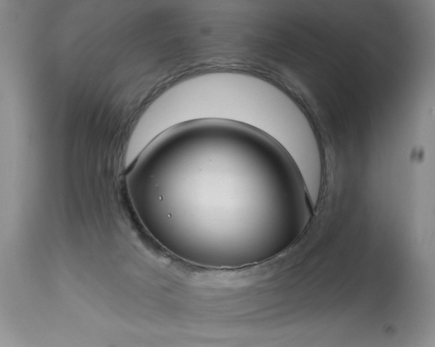 X0000113610025200910021814