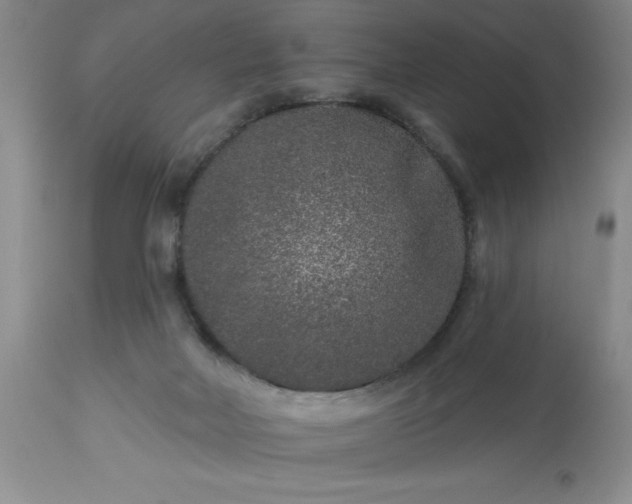 X0000113610026200910021814