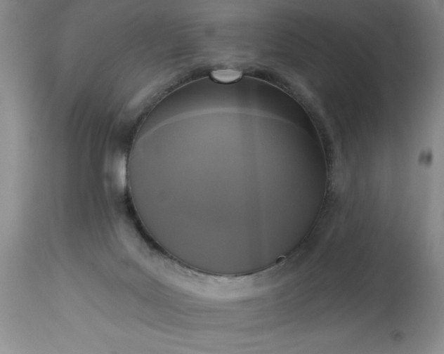 X0000113610027200910021814