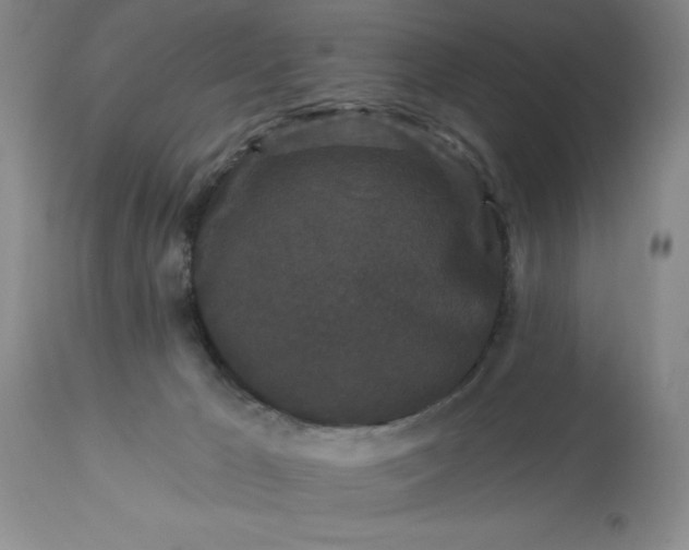 X0000113610029200910021814