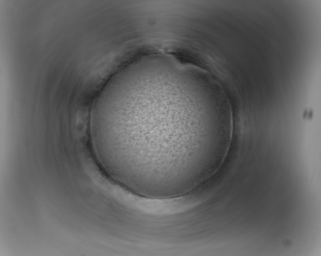 X0000113610030200910021814