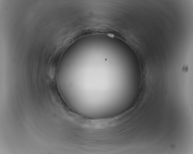 X0000113610033200910021814