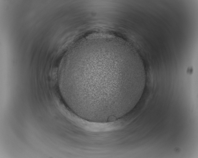 X0000113610034200910021814