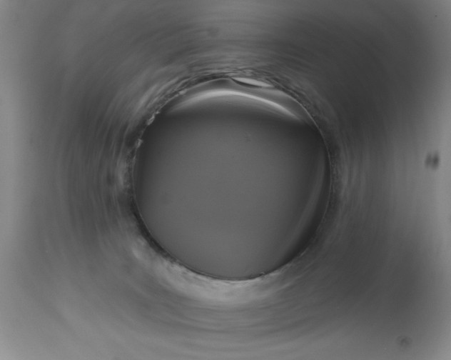 X0000113610035200910021814