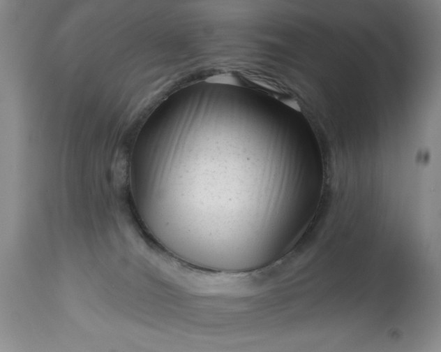 X0000113610036200910021814