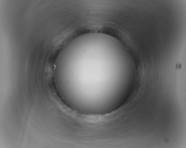 X0000113610037200910021814