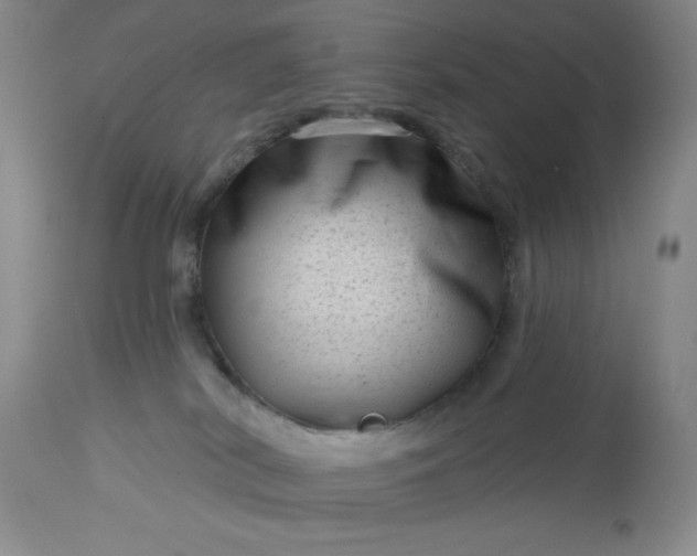 X0000113610038200910021814