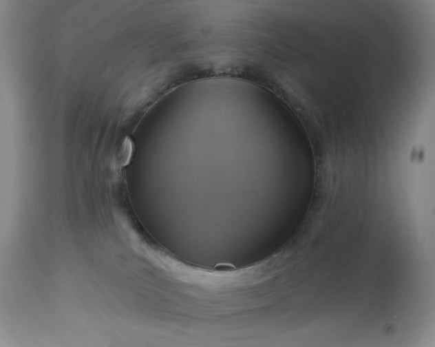 X0000113610039200910021814