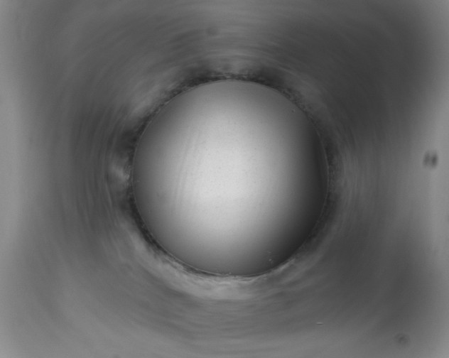 X0000113610040200910021814