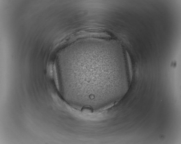 X0000113610042200910021814