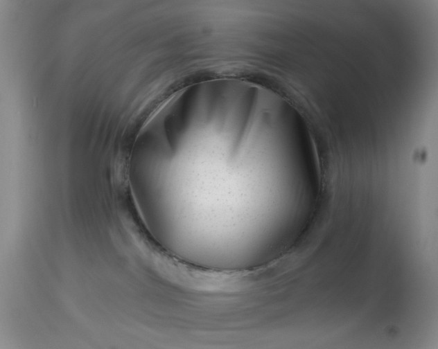 X0000113610044200910021814