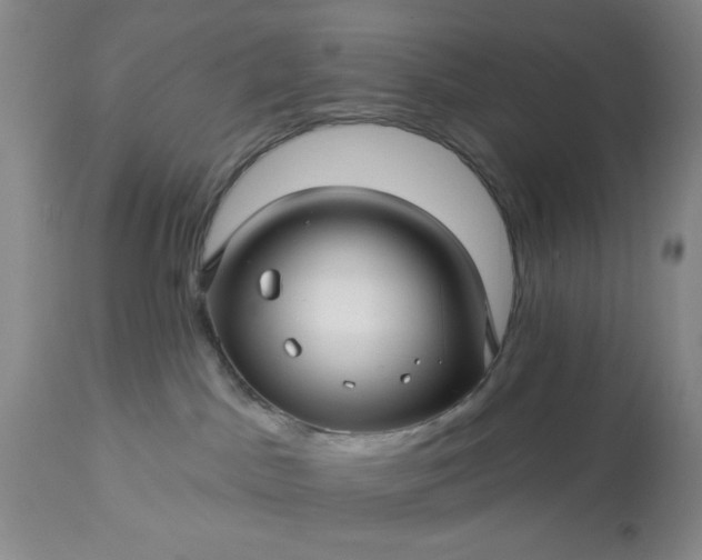 X0000113610045200910021814