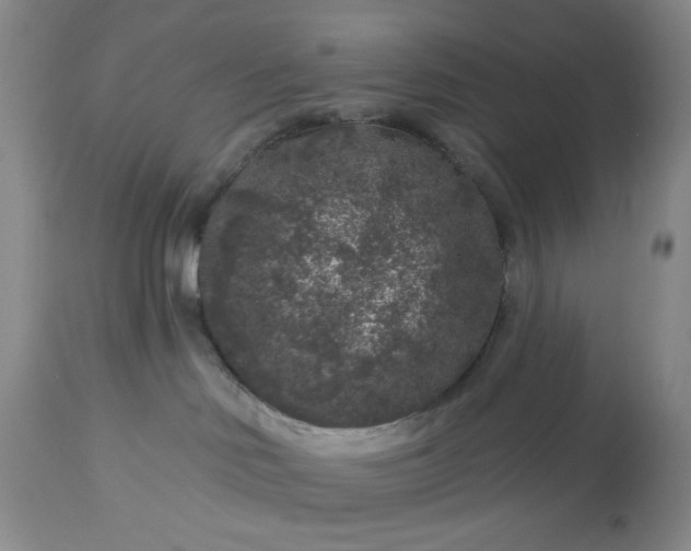 X0000113610046200910021814