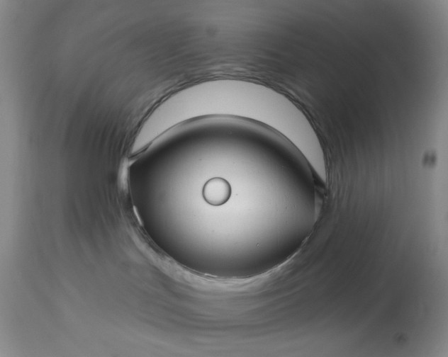 X0000113610047200910021814