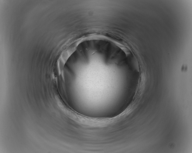 X0000113610048200910021814