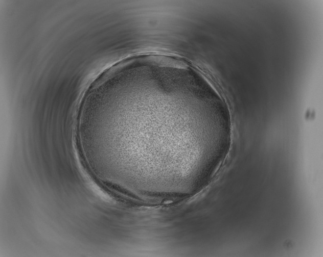 X0000113610049200910021813