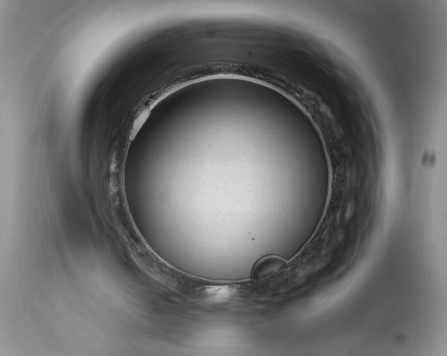 X0000113610050200910021813