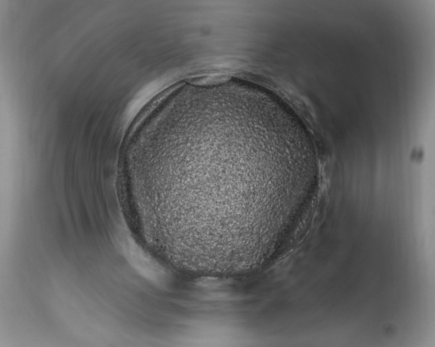 X0000113610051200910021813