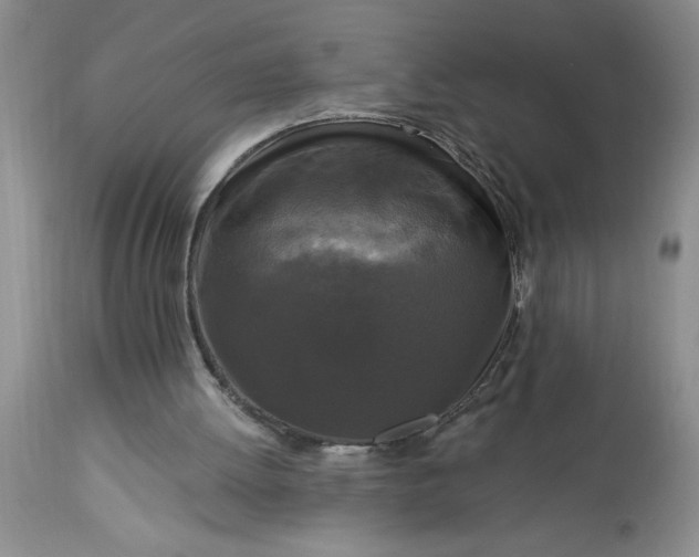 X0000113610052200910021813