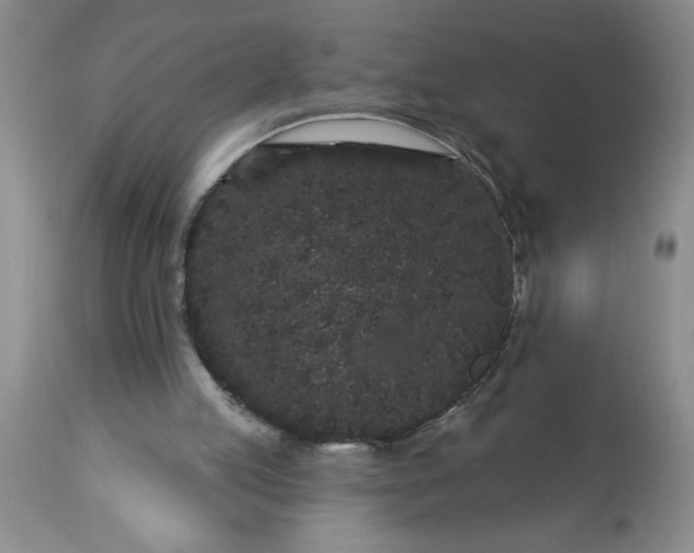 X0000113610053200910021813