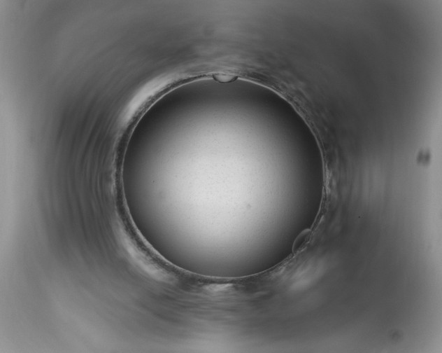 X0000113610054200910021813