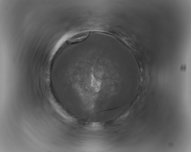 X0000113610056200910021813