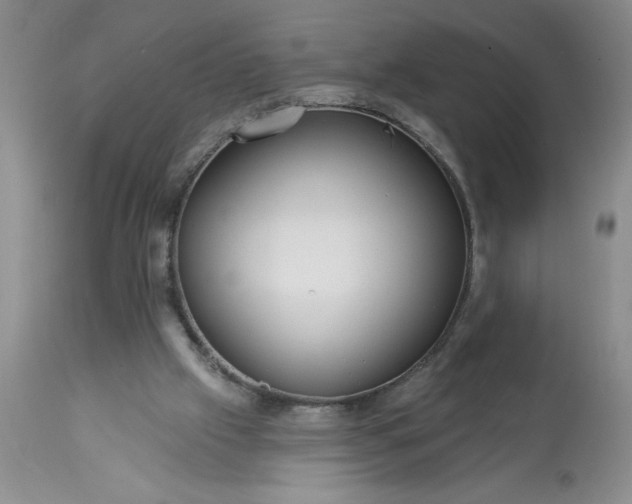 X0000113610057200910021813