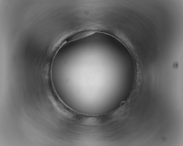 X0000113610058200910021813