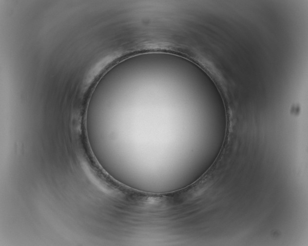 X0000113610060200910021813