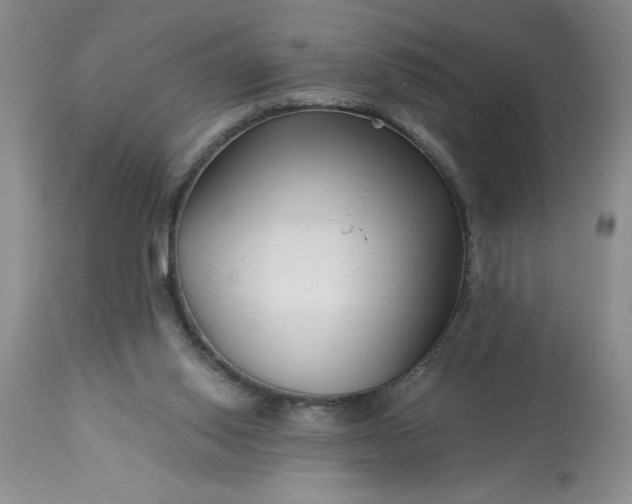 X0000113610062200910021813