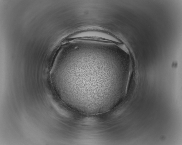 X0000113610063200910021813