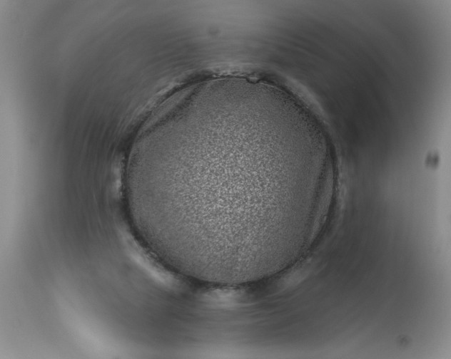 X0000113610065200910021813