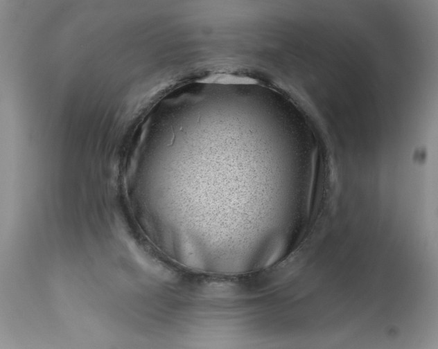 X0000113610066200910021814