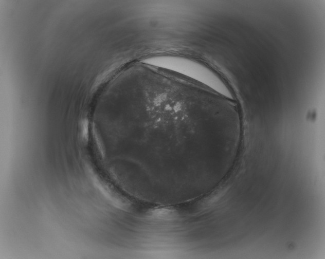 X0000113610067200910021814