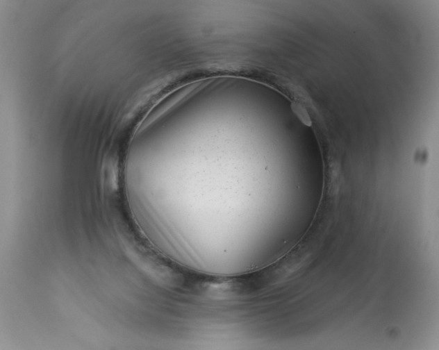 X0000113610068200910021814