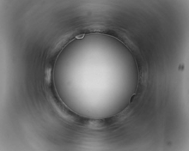 X0000113610070200910021814