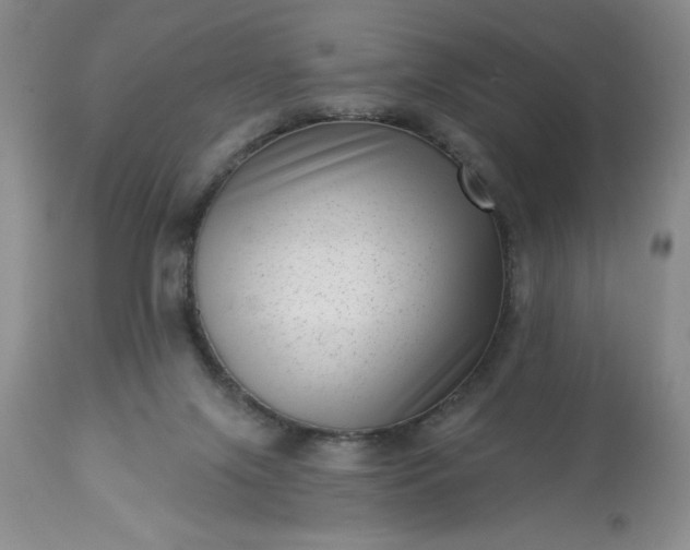 X0000113610071200910021814